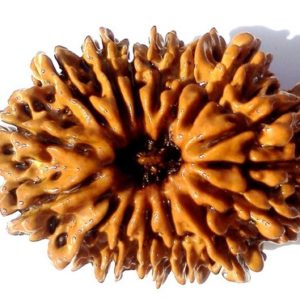 Thirteen Mukhi