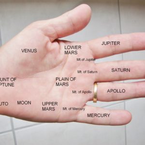 Palmistry